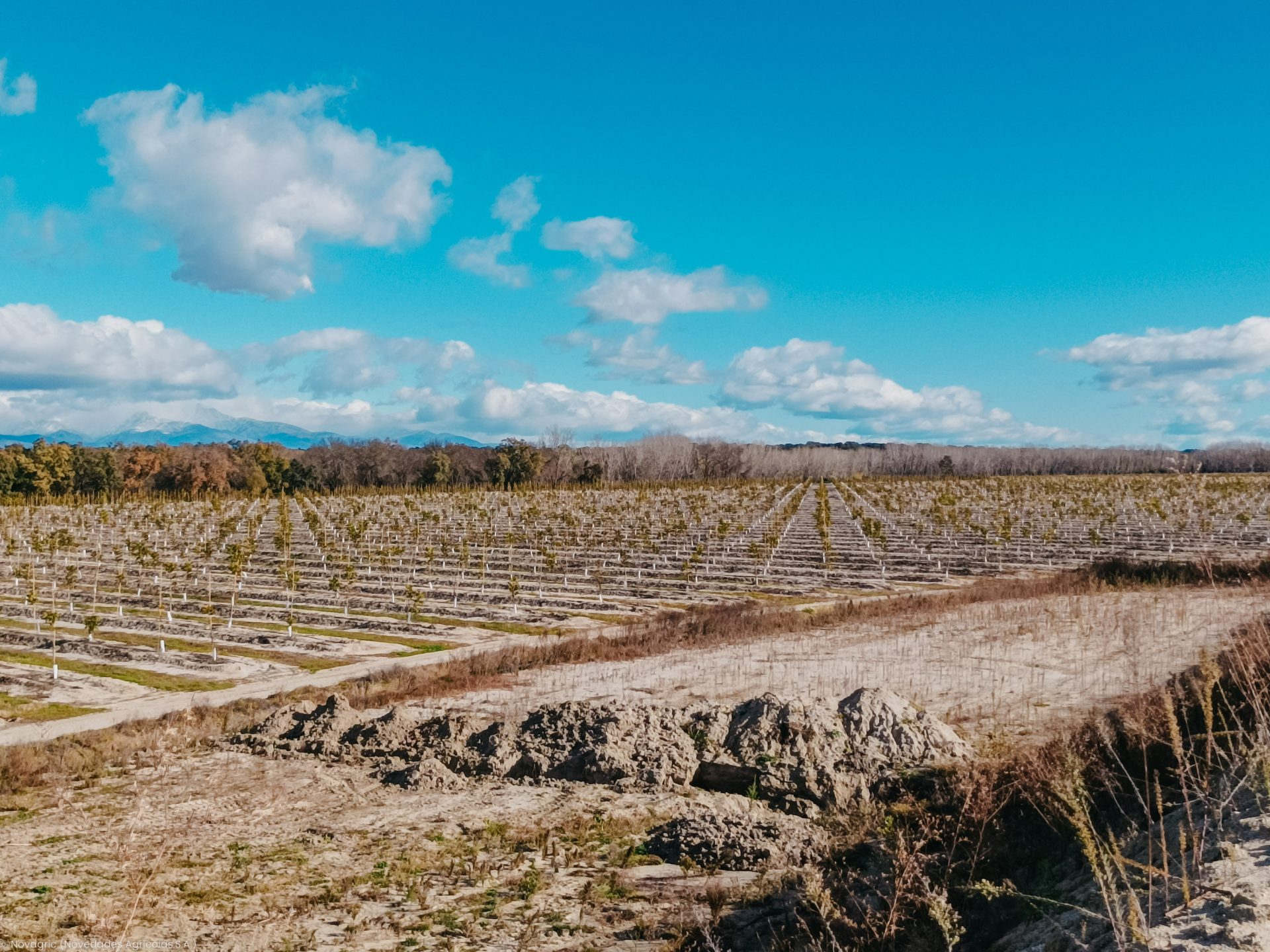 Novagric - Soluciones y servicios especializados en riego, invernaderos y tecnología agrícola