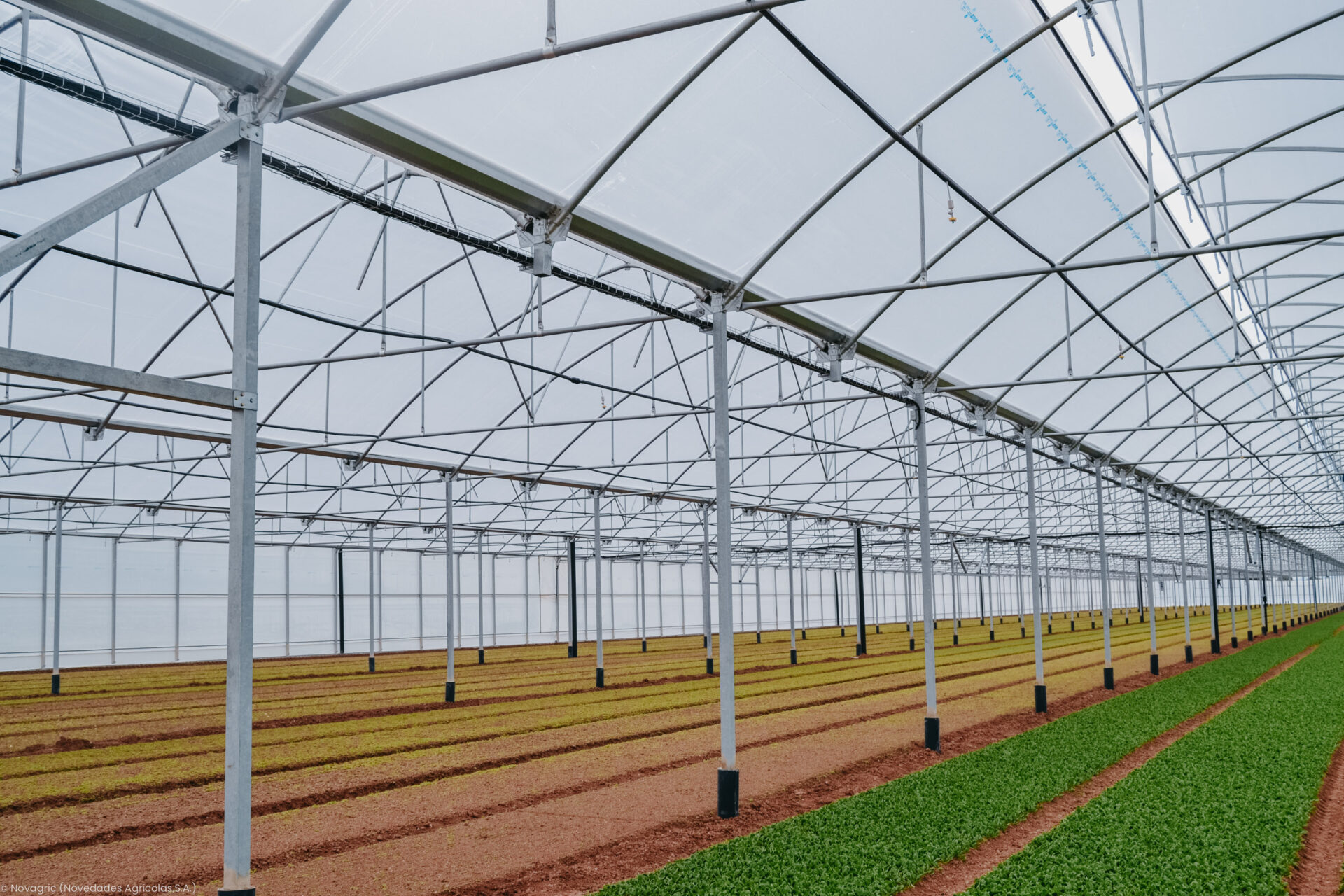 Novagric - Soluciones y servicios especializados en riego, invernaderos y tecnología agrícola