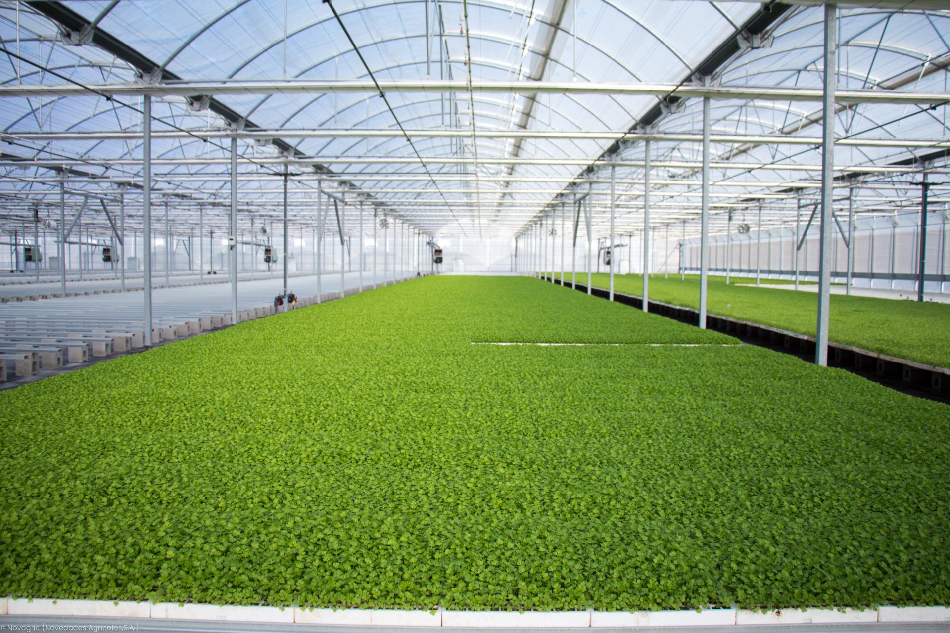 Novagric - Soluciones y servicios especializados en riego, invernaderos y tecnología agrícola