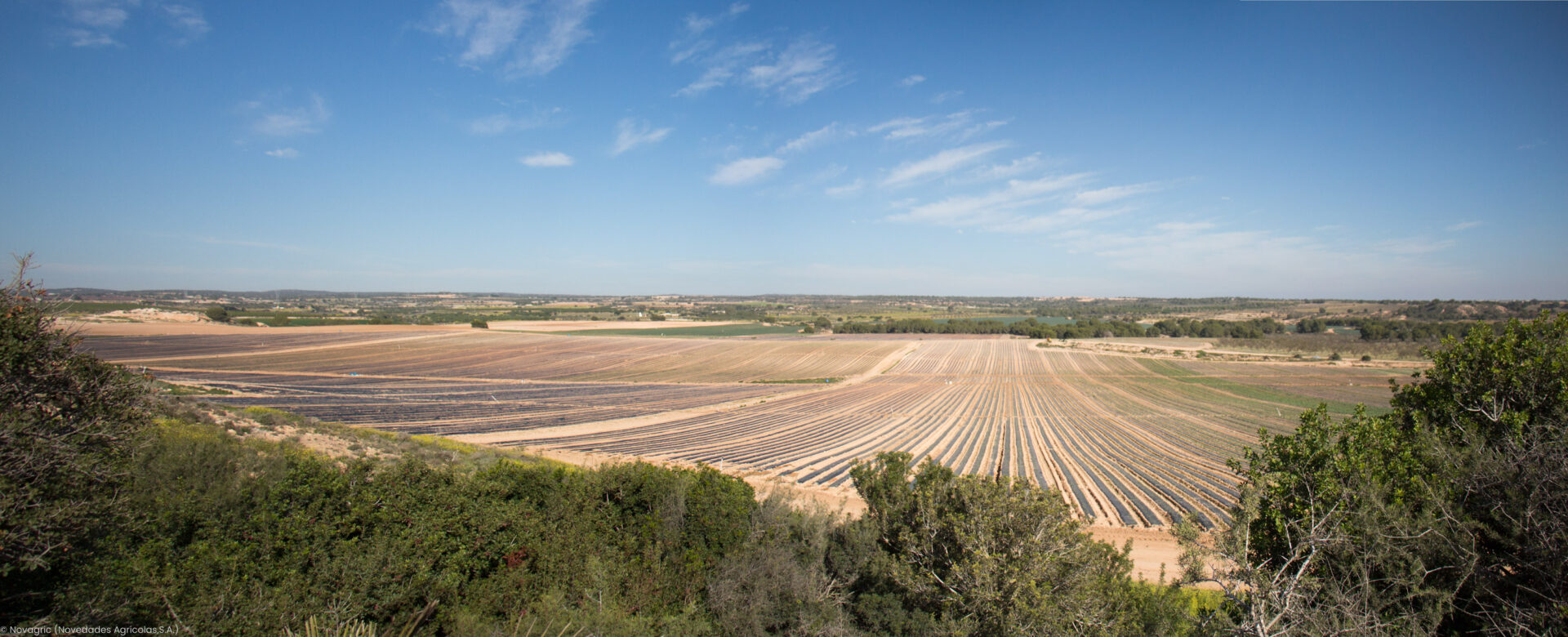 Novagric - Soluciones y servicios especializados en riego, invernaderos y tecnología agrícola
