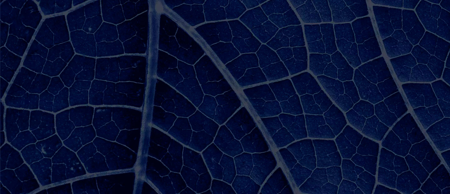 back-formulario-novagric Novagric - Soluciones y servicios especializados en riego, invernaderos y tecnología agrícola