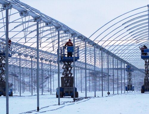 Qué Invernaderos son resistentes al viento y nieve
