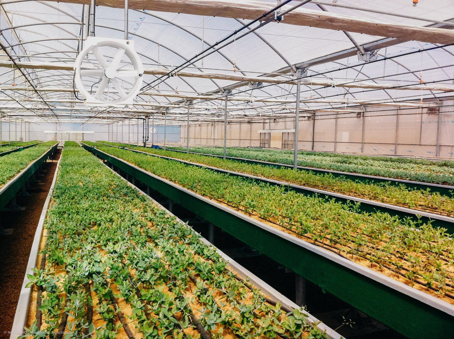 Novagric - Soluciones y servicios especializados en riego, invernaderos y tecnología agrícola