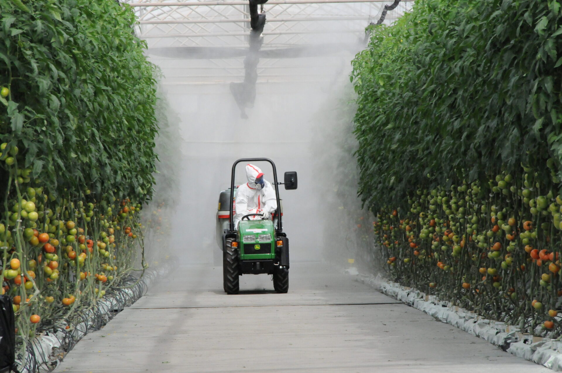 Tratamiento Fitosanitario