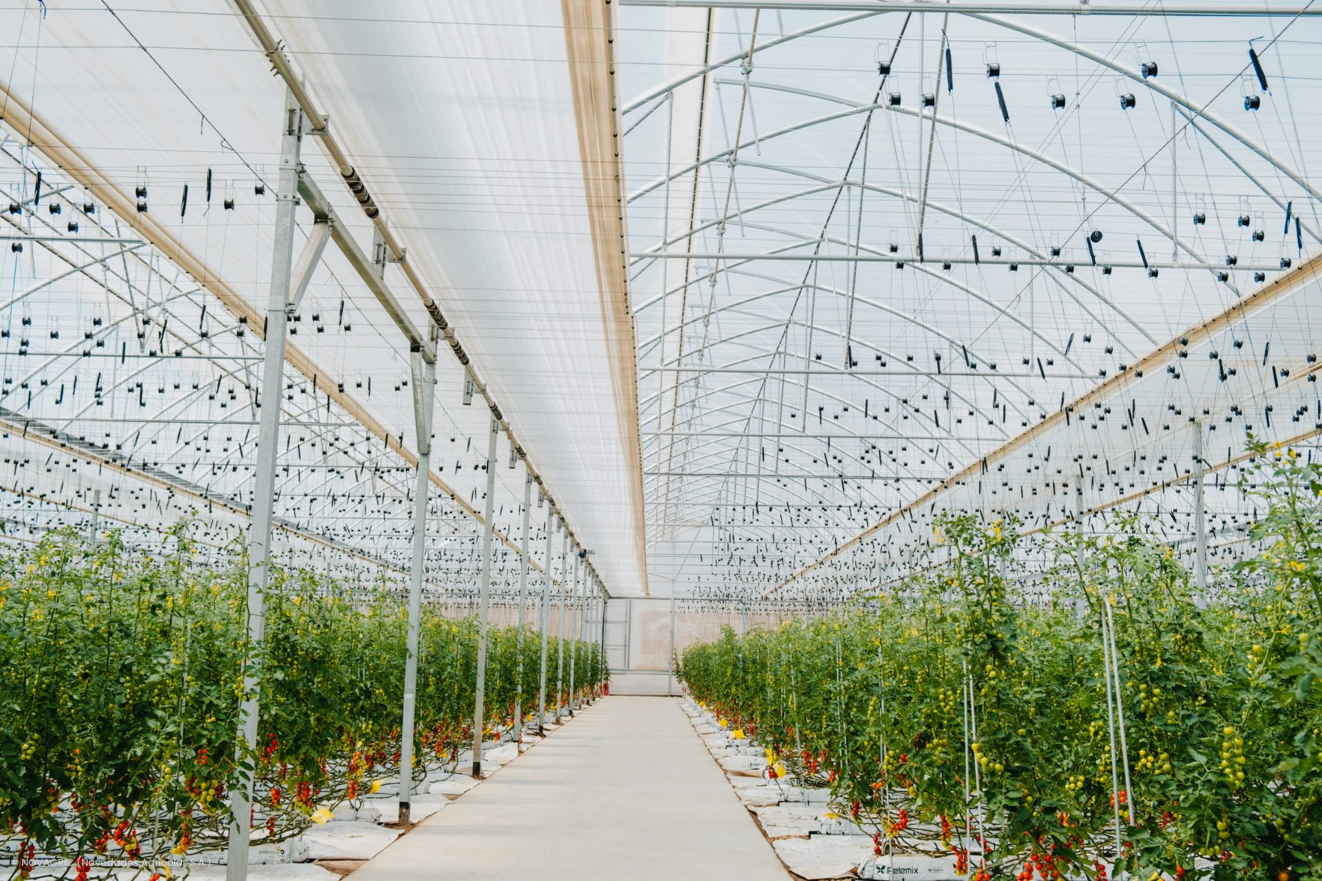 Novagric - Soluciones y servicios especializados en riego, invernaderos y tecnología agrícola
