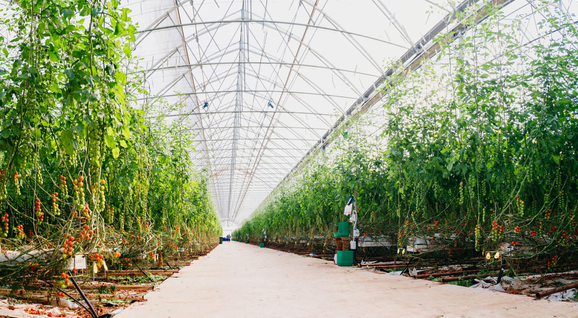 Novagric - Soluciones y servicios especializados en riego, invernaderos y tecnología agrícola