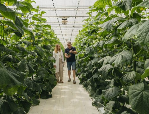 El gigante de Almería bate nuevo récord