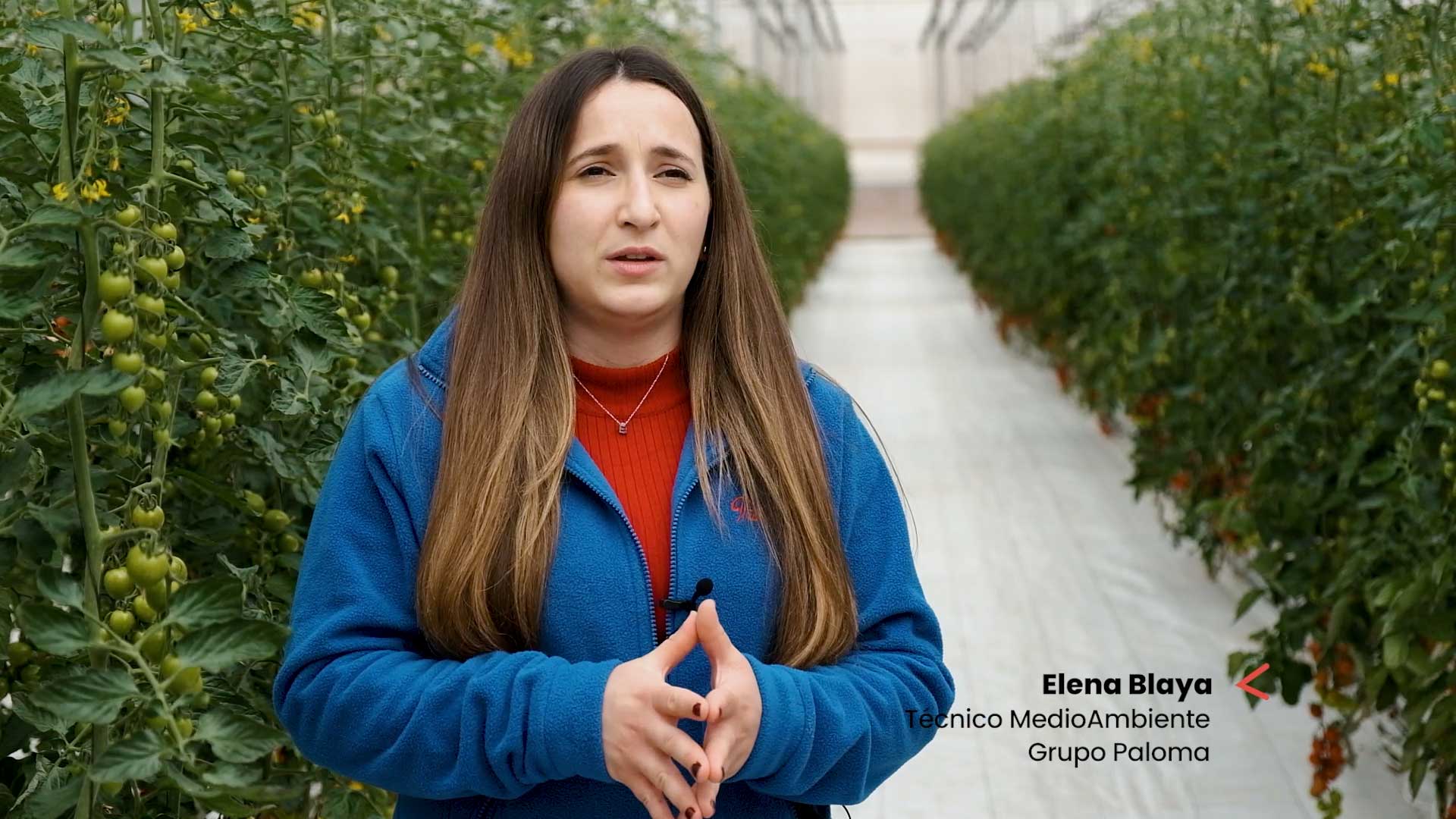 Novagric - Soluciones y servicios especializados en riego, invernaderos y tecnología agrícola