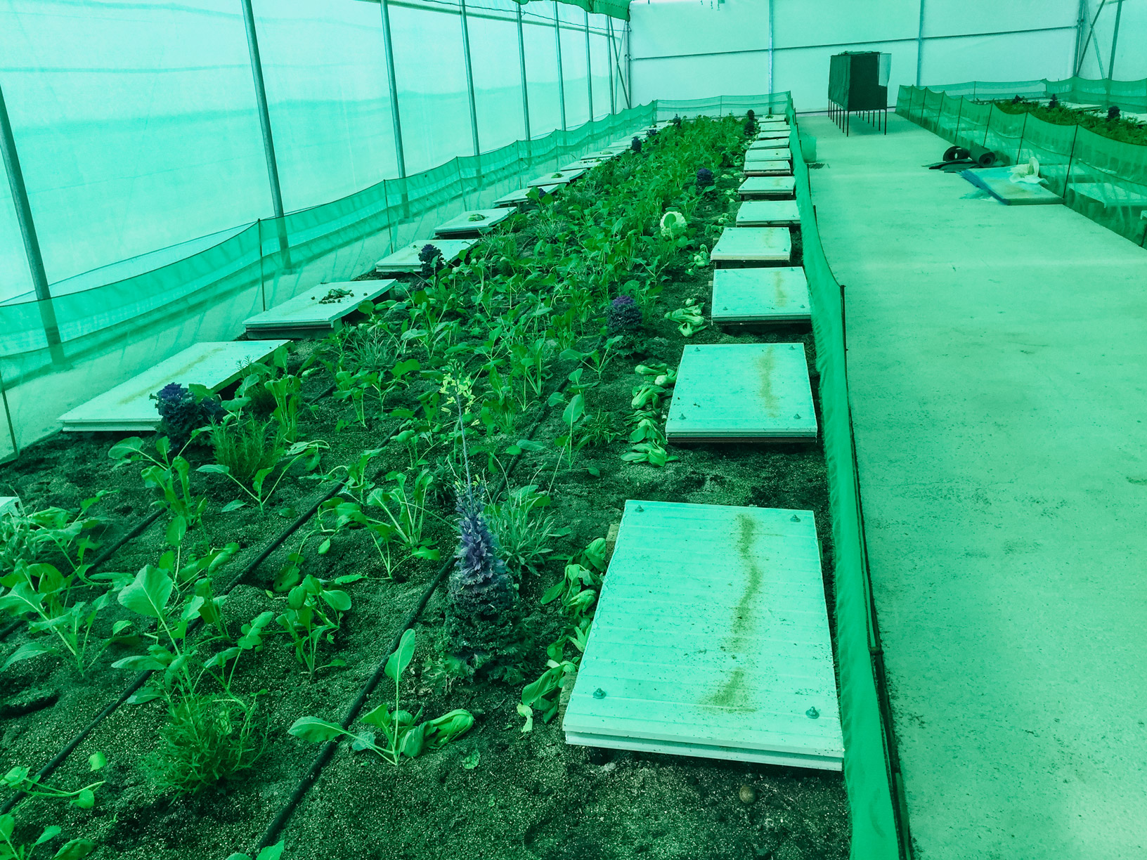 Novagric - Soluciones y servicios especializados en riego, invernaderos y tecnología agrícola