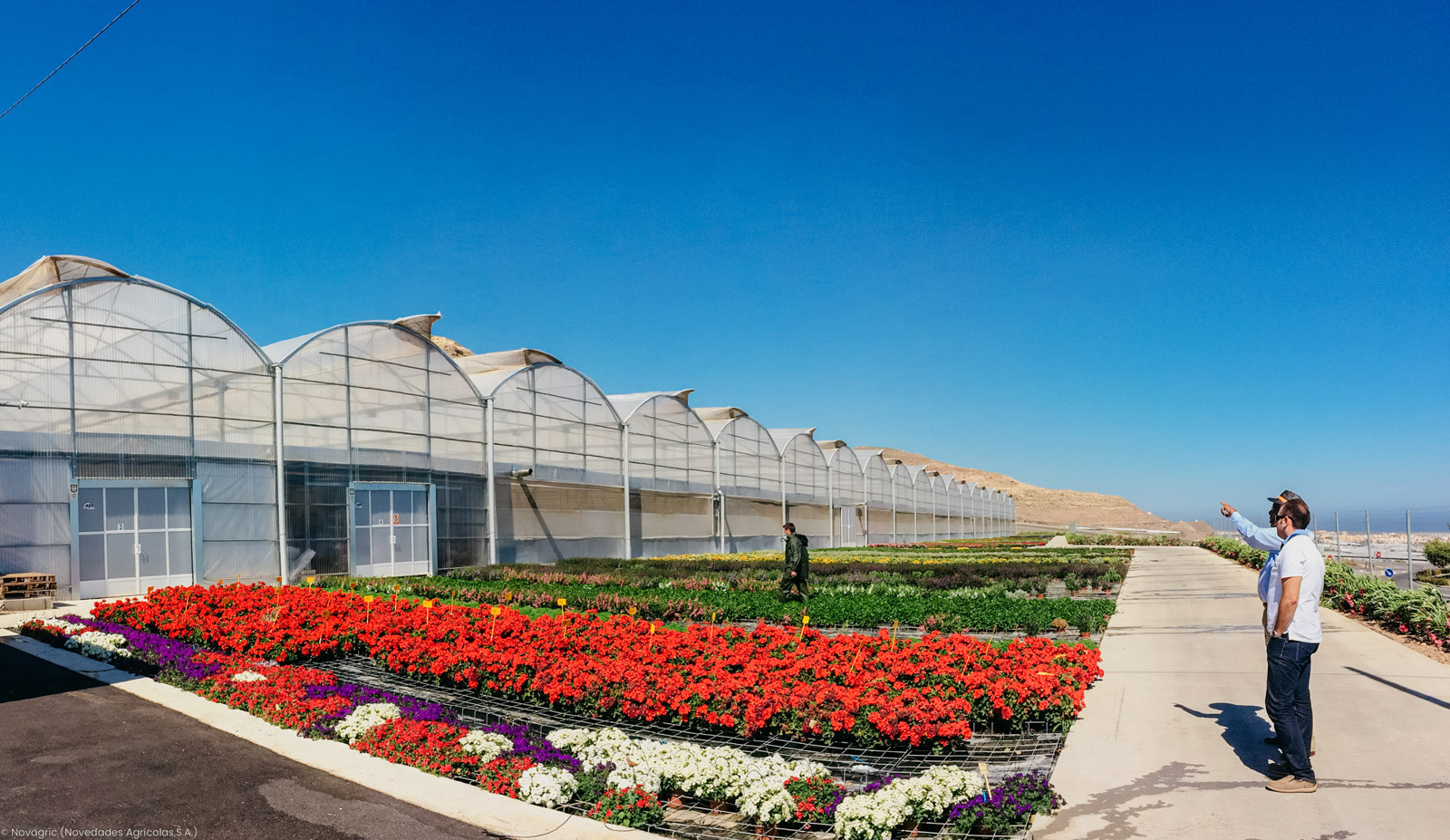 Novagric - Soluciones y servicios especializados en riego, invernaderos y tecnología agrícola