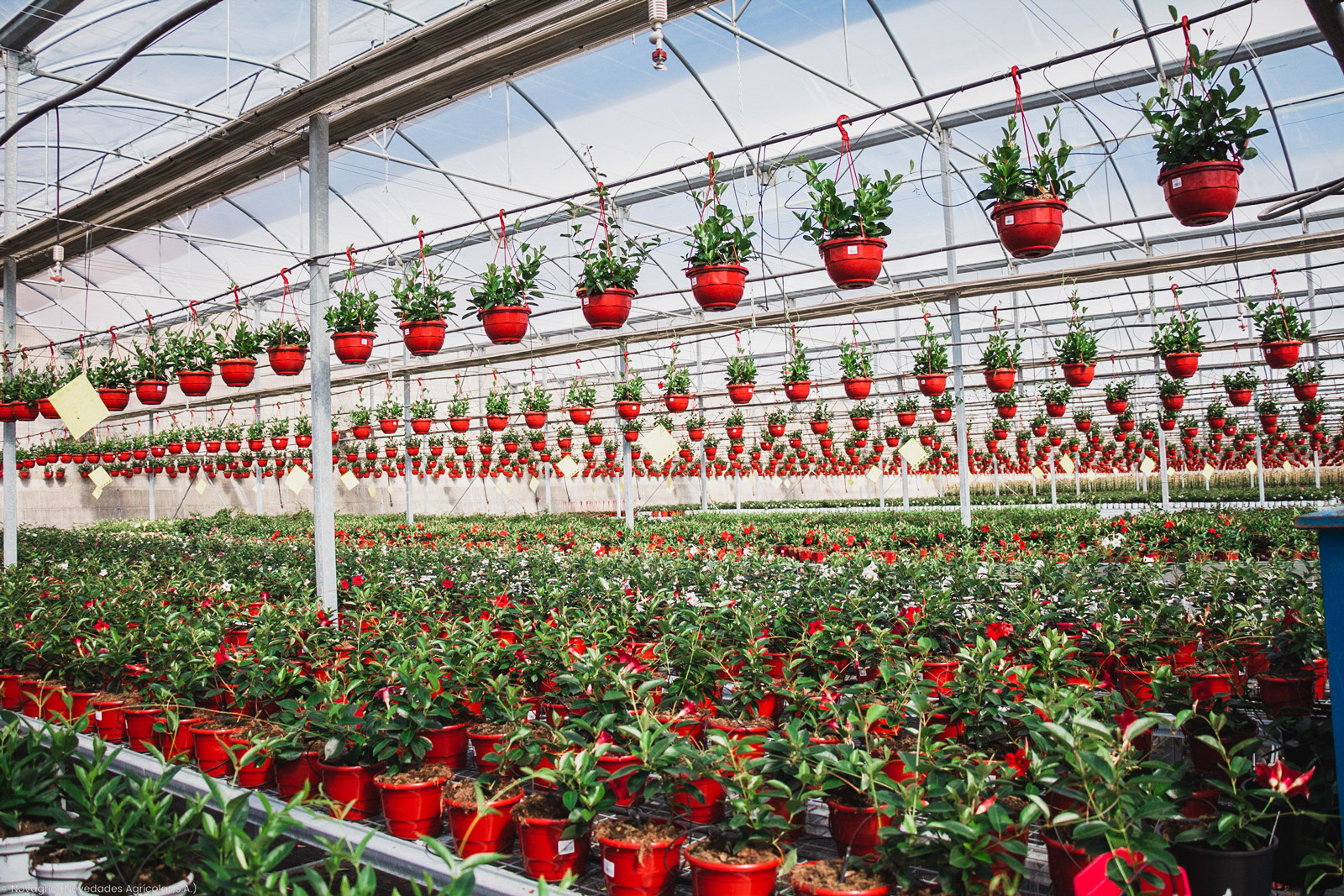 Novagric - Soluciones y servicios especializados en riego, invernaderos y tecnología agrícola