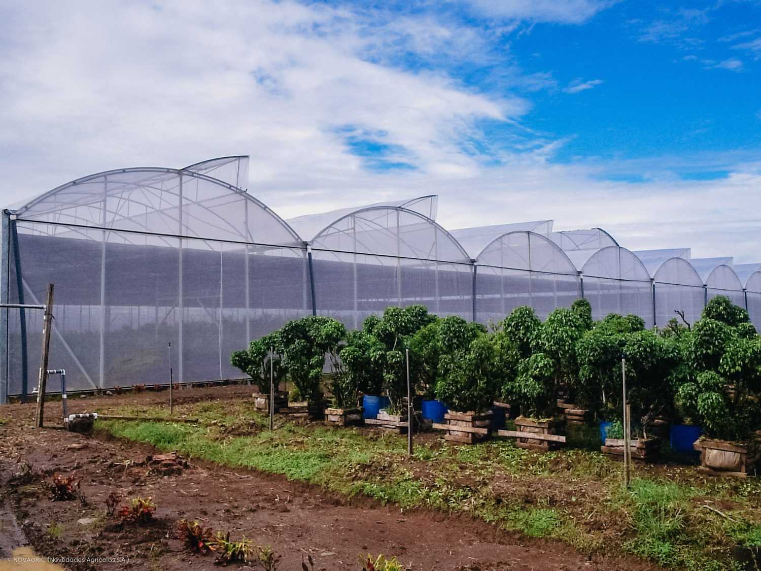 Novagric - Soluciones y servicios especializados en riego, invernaderos y tecnología agrícola