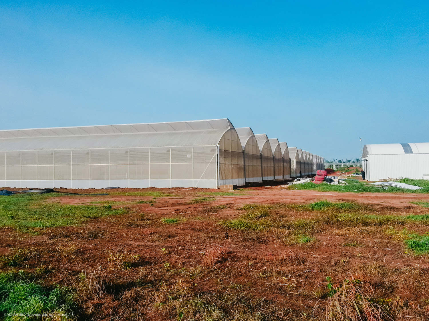 Novagric completó un proyecto de invernaderos multitúnel en Nigeria, equipados para producir hortalizas. Incluye asesoramiento técnico-agronómico en la finca para optimizar el rendimiento de los cultivos.