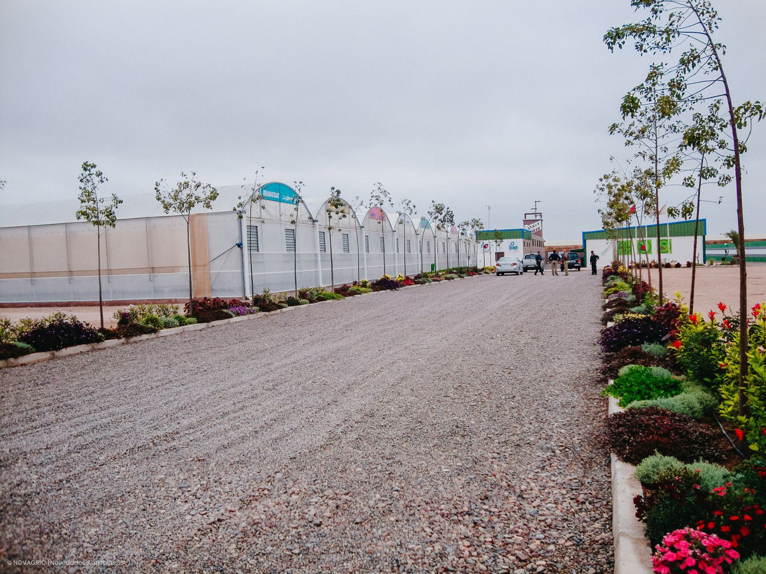 Novagric implementó un proyecto de invernaderos en Marruecos con tecnología avanzada para la investigación de insectos auxiliares en la lucha integrada contra plagas.