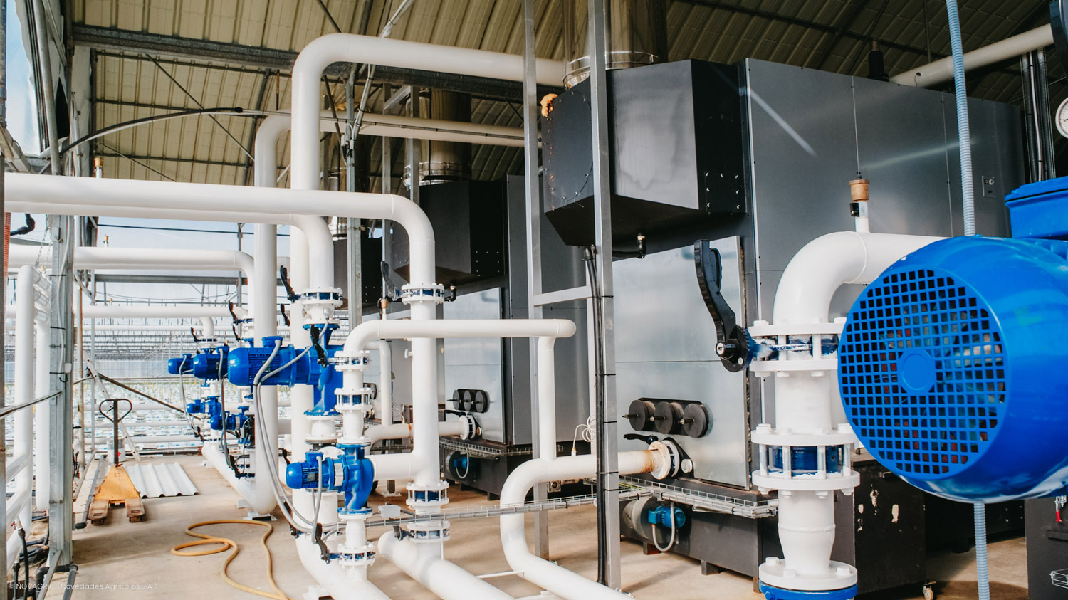 Novagric implementó un proyecto en Portugal con calderas de biomasa no contaminantes para el cultivo de tomate, utilizando huesos de aceituna como fuente de energía.