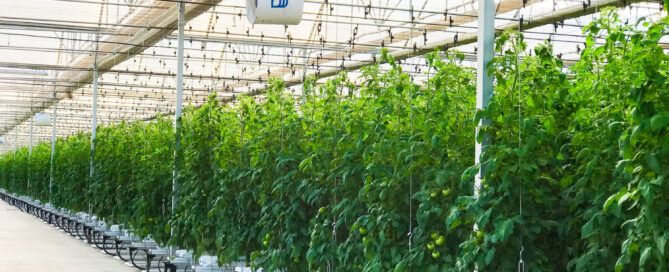 Novagric - Soluciones y servicios especializados en riego, invernaderos y tecnología agrícola