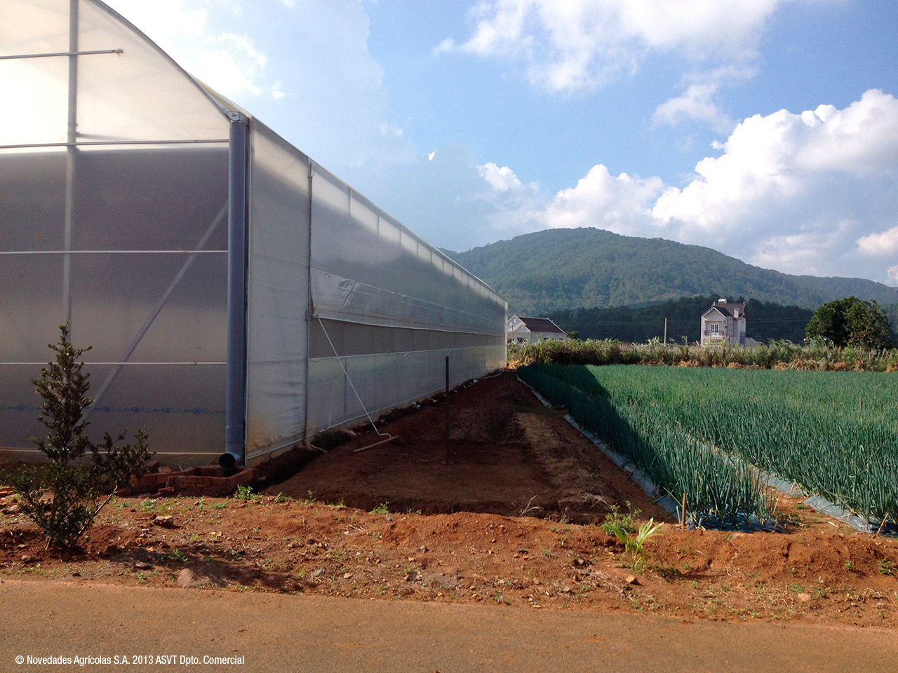 Novagric desarrolló un proyecto de invernaderos tropicales tecnológicos en Vietnam para el cultivo de flores en semilleros.