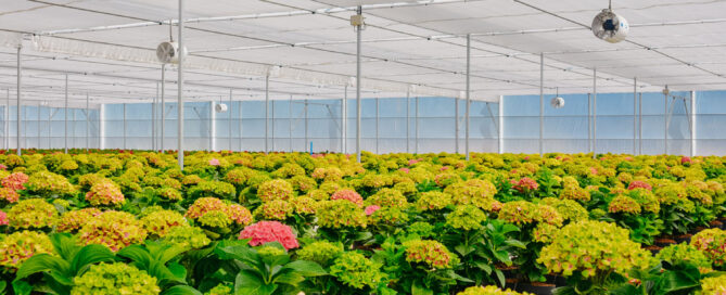 Novagric - Soluciones y servicios especializados en riego, invernaderos y tecnología agrícola