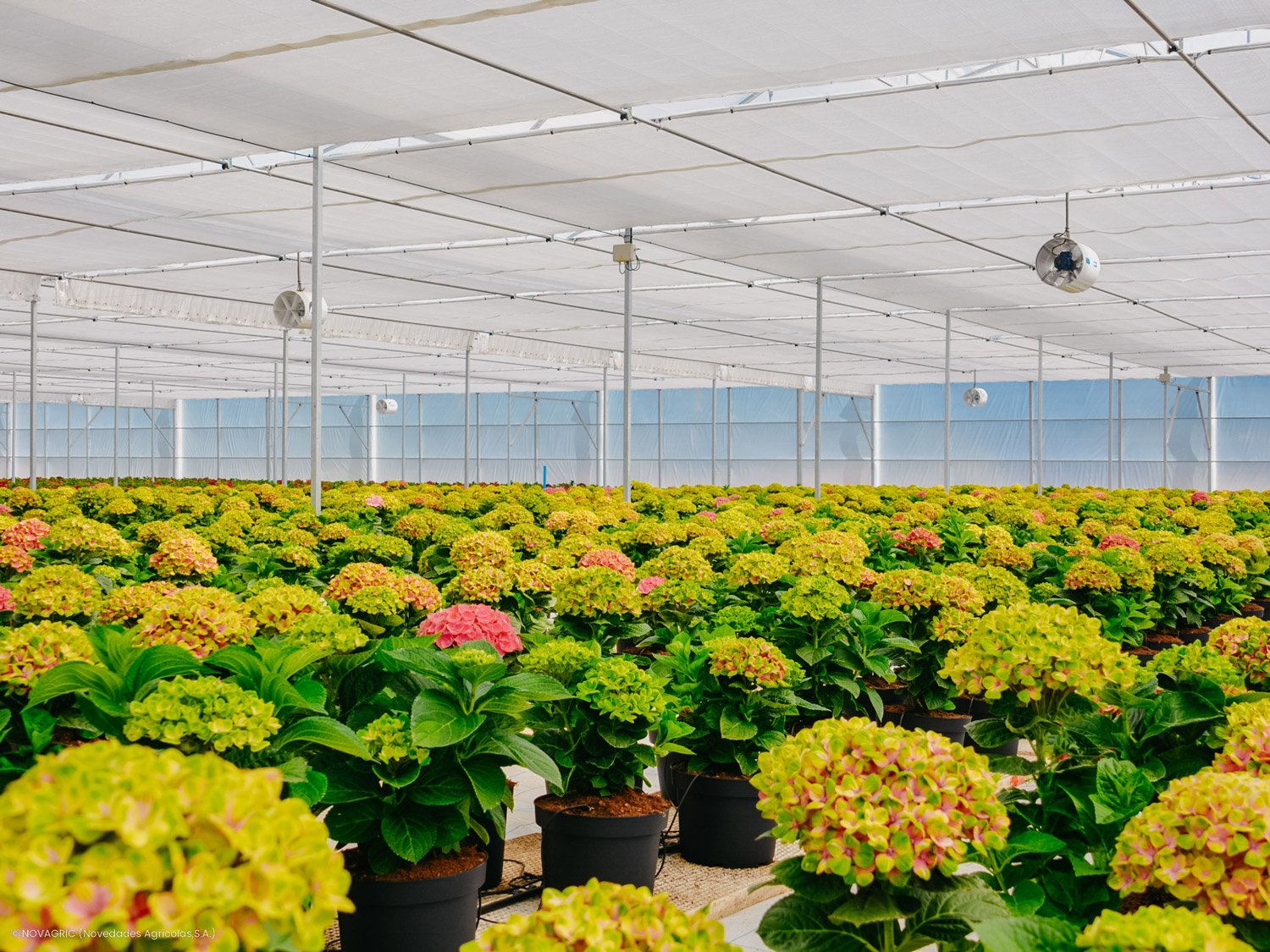 Novagric - Soluciones y servicios especializados en riego, invernaderos y tecnología agrícola