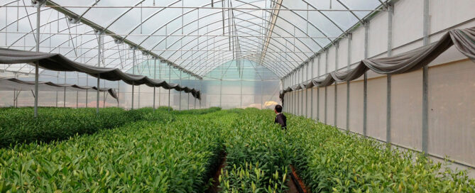 Novagric - Soluciones y servicios especializados en riego, invernaderos y tecnología agrícola