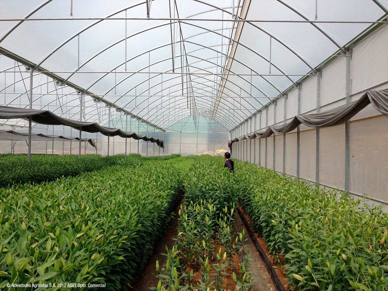 Novagric - Soluciones y servicios especializados en riego, invernaderos y tecnología agrícola