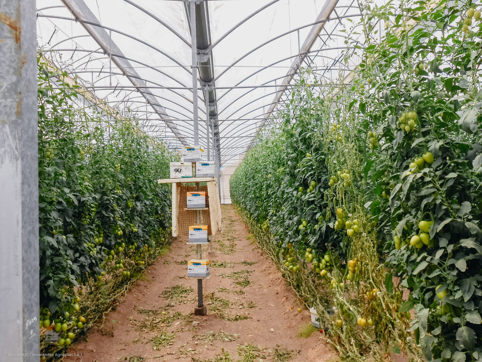 Novagric - Soluciones y servicios especializados en riego, invernaderos y tecnología agrícola