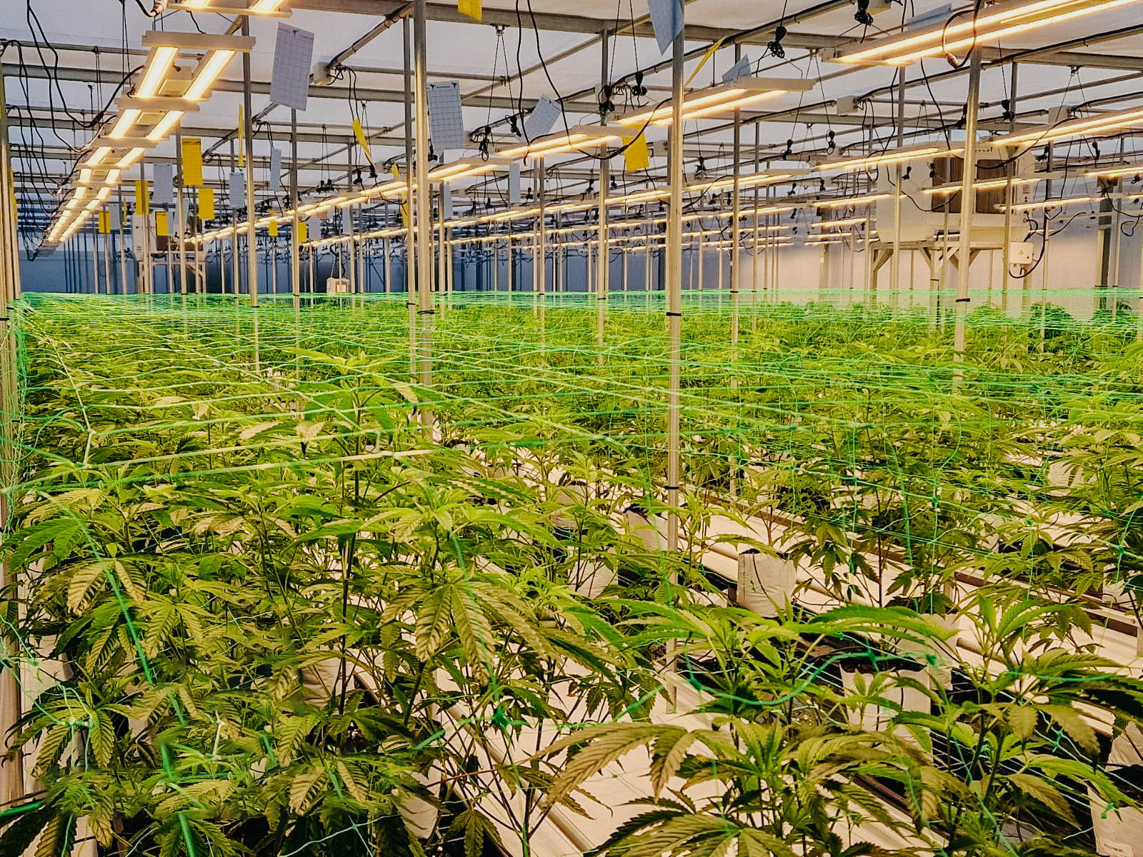 Novagric - Soluciones y servicios especializados en riego, invernaderos y tecnología agrícola