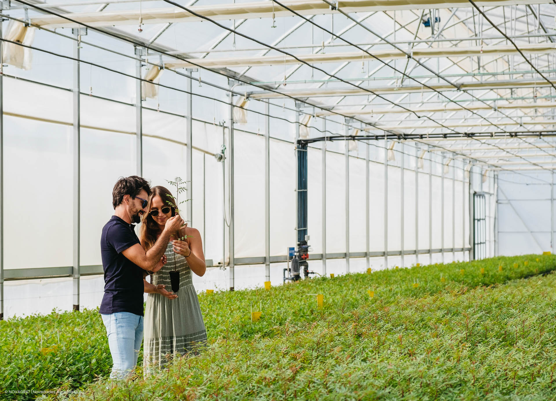 Novagric - Soluciones y servicios especializados en riego, invernaderos y tecnología agrícola