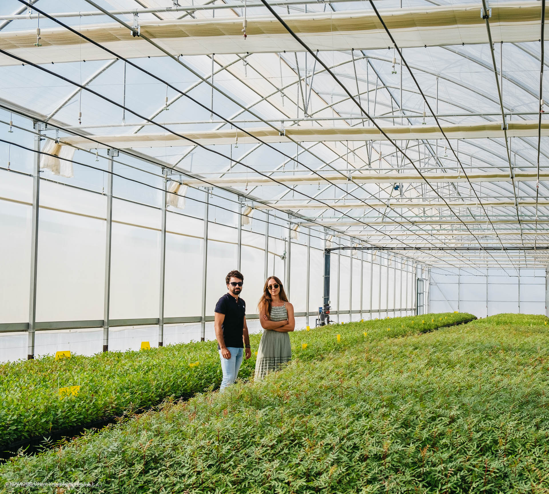 Novagric - Soluciones y servicios especializados en riego, invernaderos y tecnología agrícola