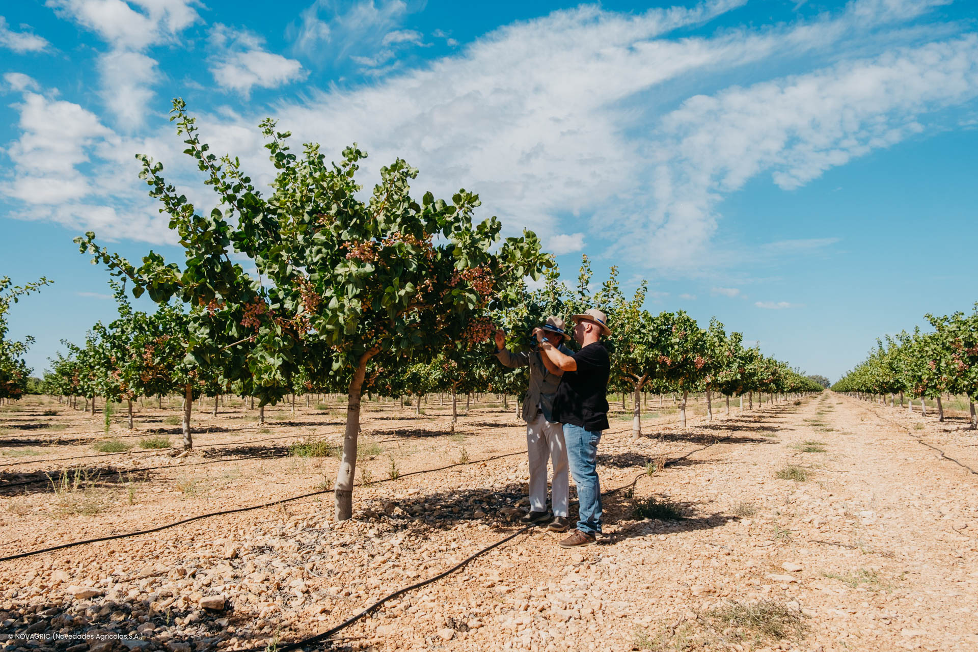 Novagric - Soluciones y servicios especializados en riego, invernaderos y tecnología agrícola