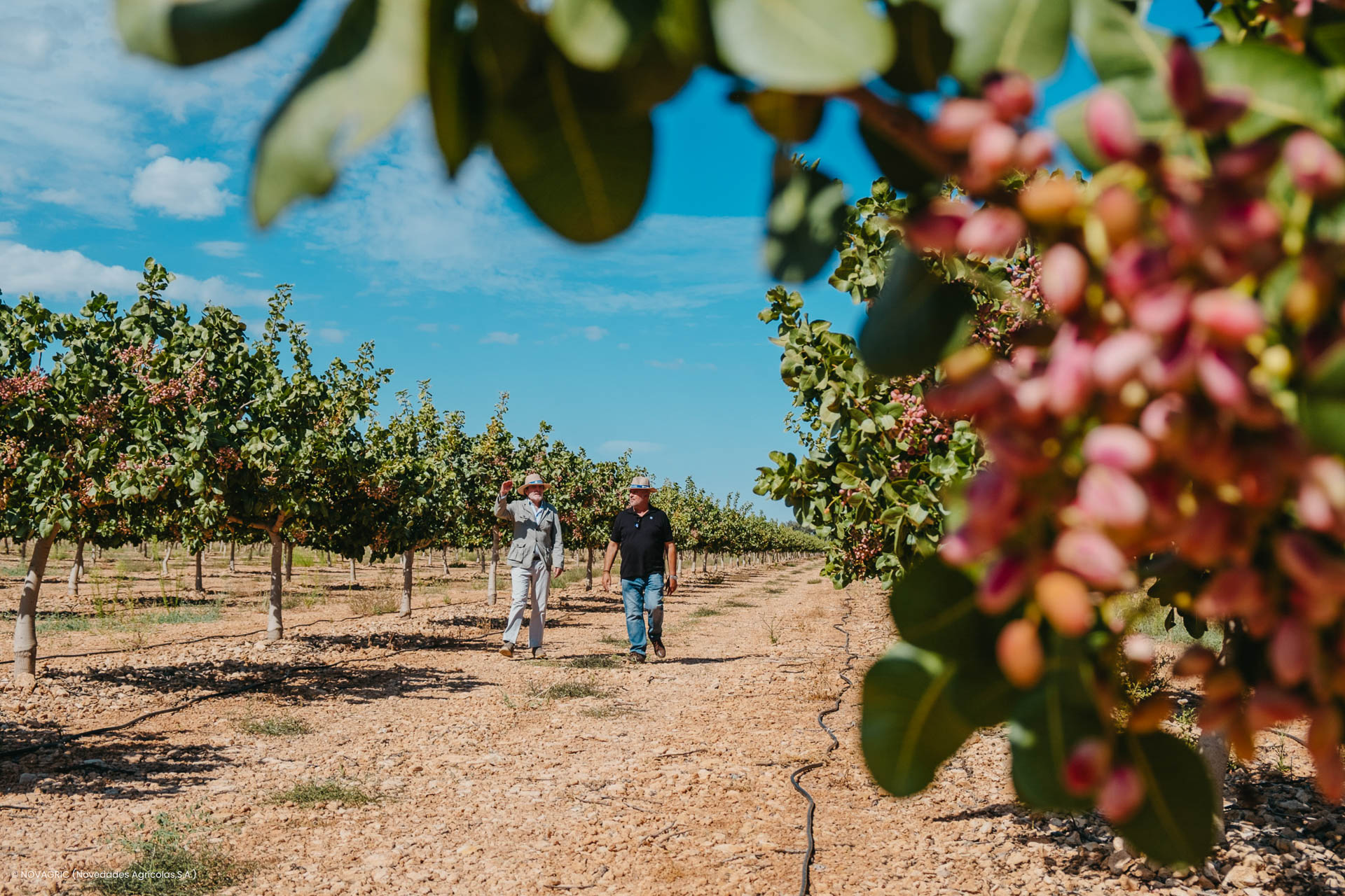 Novagric - Soluciones y servicios especializados en riego, invernaderos y tecnología agrícola