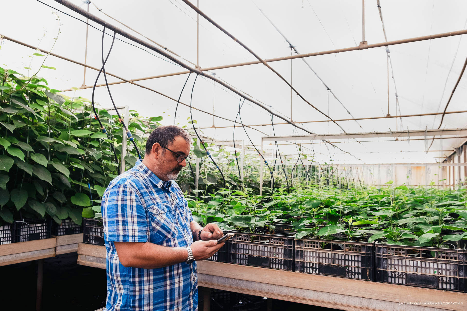 Novagric - Soluciones y servicios especializados en riego, invernaderos y tecnología agrícola