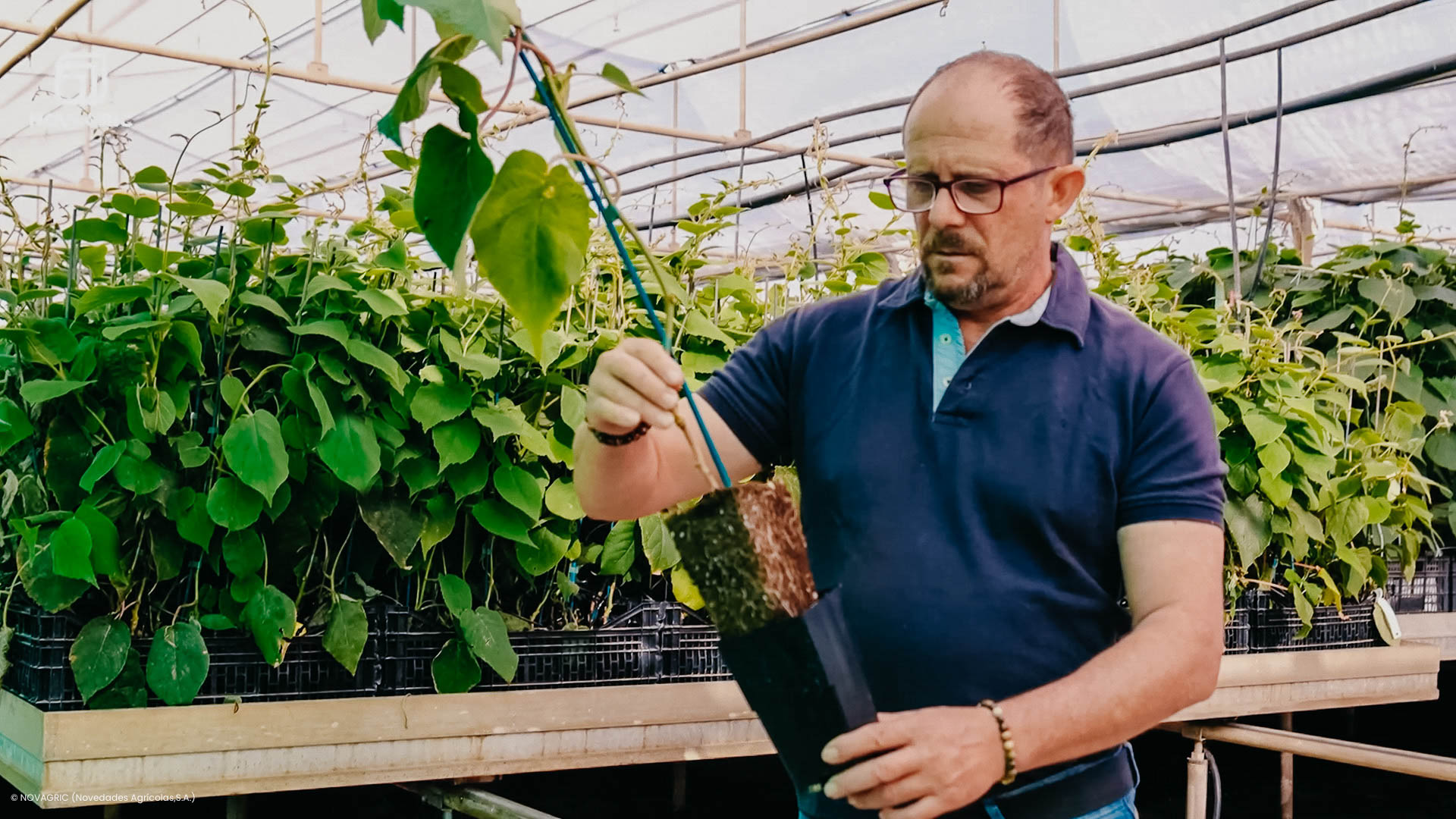 Novagric - Soluciones y servicios especializados en riego, invernaderos y tecnología agrícola