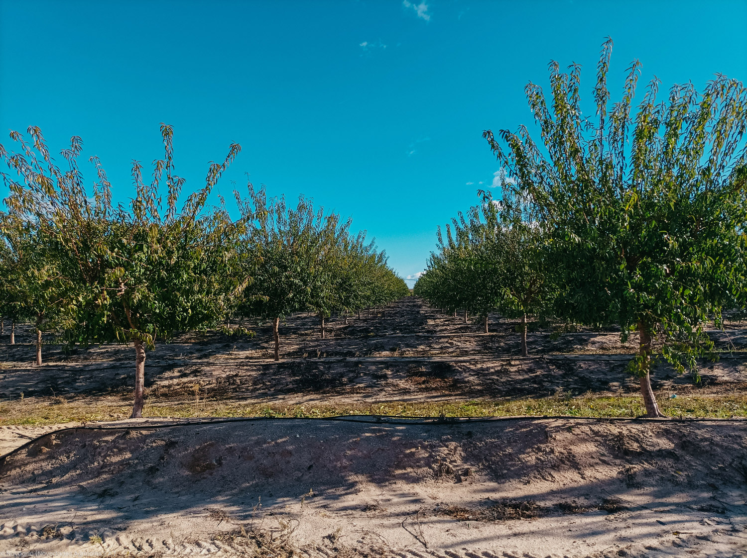 Novagric - Soluciones y servicios especializados en riego, invernaderos y tecnología agrícola