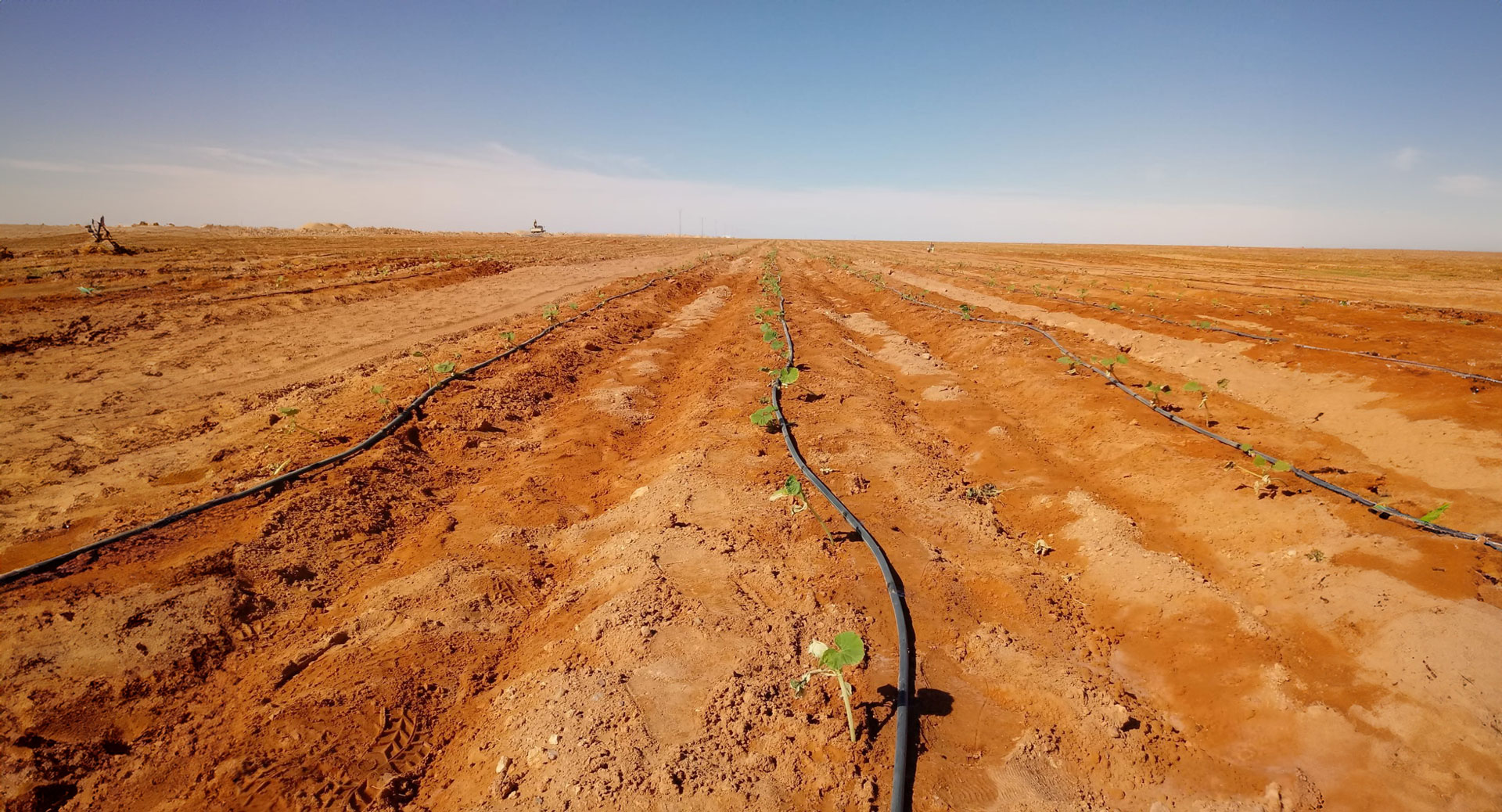 Novagric - Soluciones y servicios especializados en riego, invernaderos y tecnología agrícola