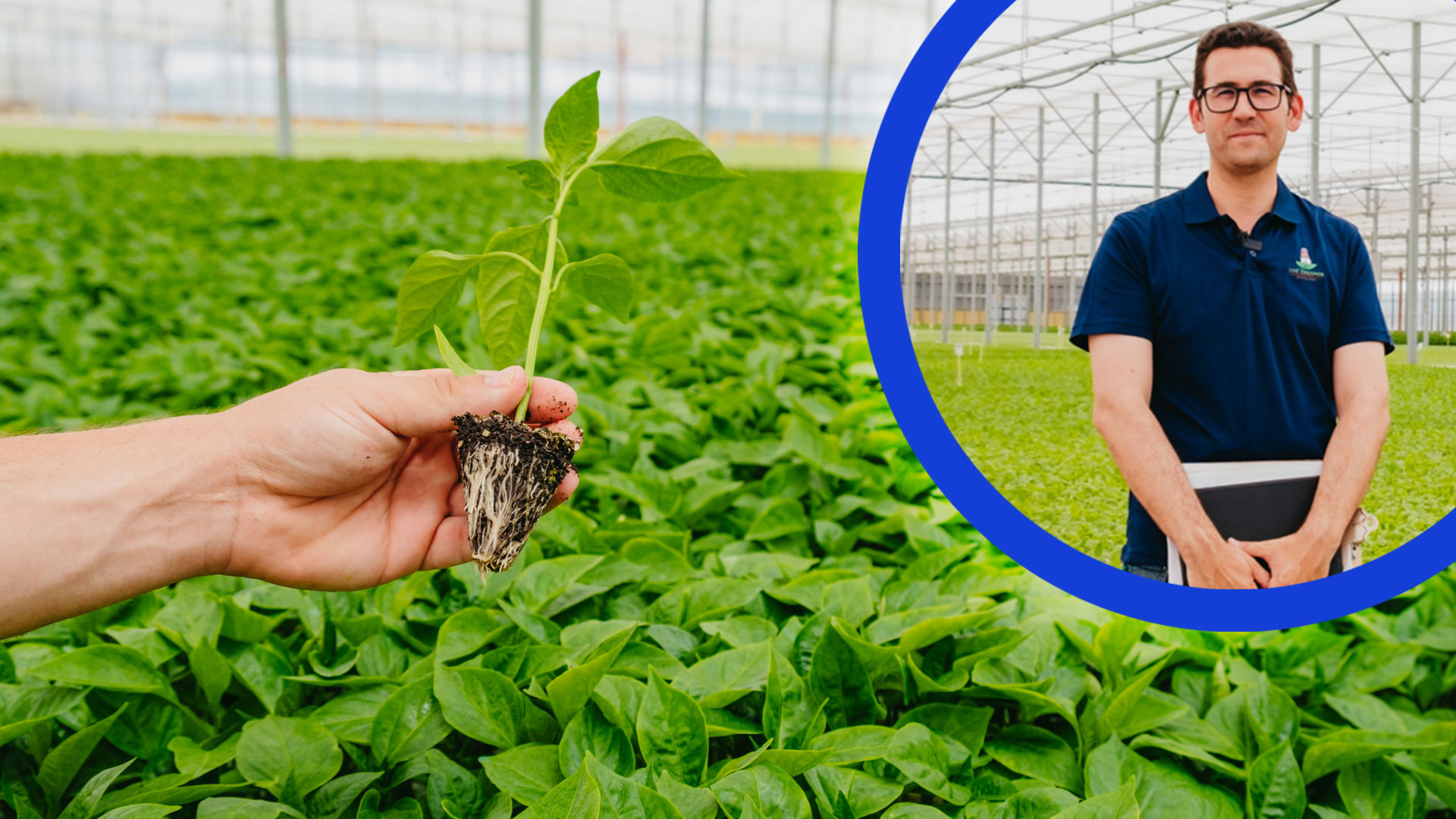 Novagric - Soluciones y servicios especializados en riego, invernaderos y tecnología agrícola