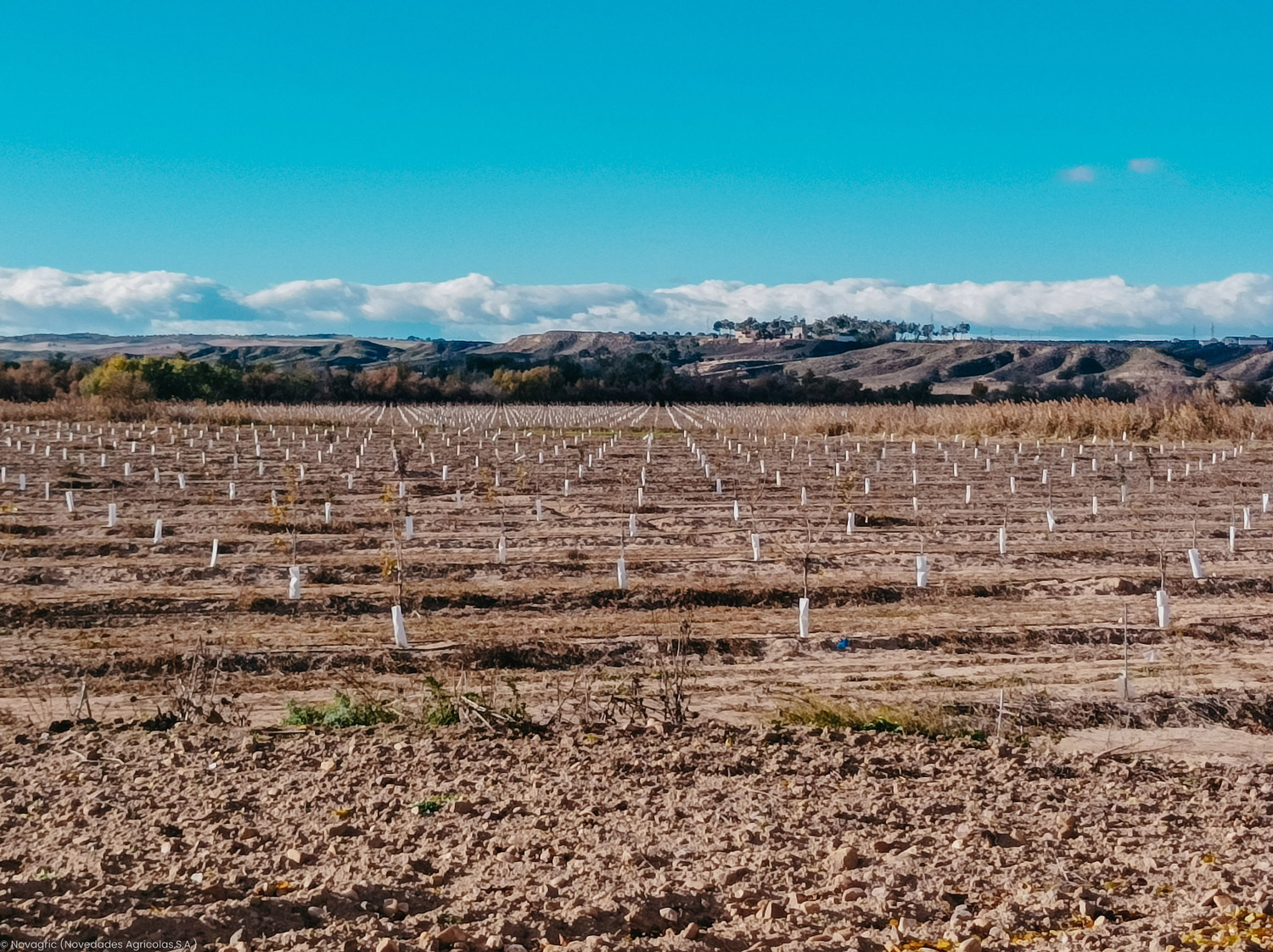 Novagric - Soluciones y servicios especializados en riego, invernaderos y tecnología agrícola