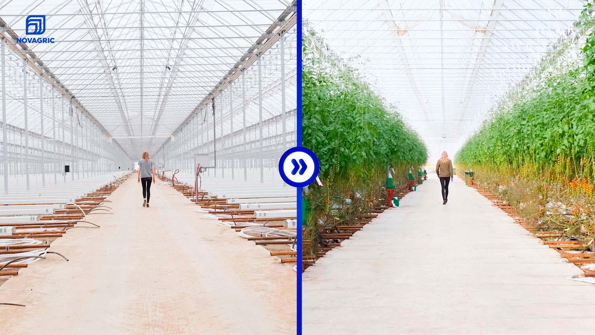 Novagric - Soluciones y servicios especializados en riego, invernaderos y tecnología agrícola