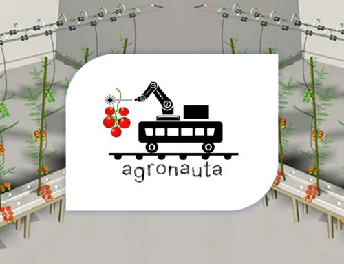 AGRONAUTA. Robot agrícola para cosecha de Tomate