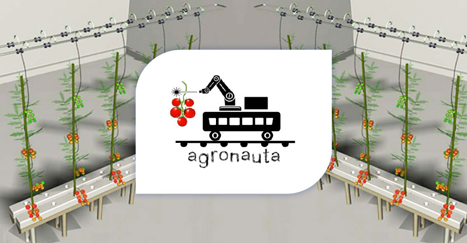 Novagric - Soluciones y servicios especializados en riego, invernaderos y tecnología agrícola