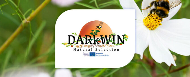 Novagric - Soluciones y servicios especializados en riego, invernaderos y tecnología agrícola