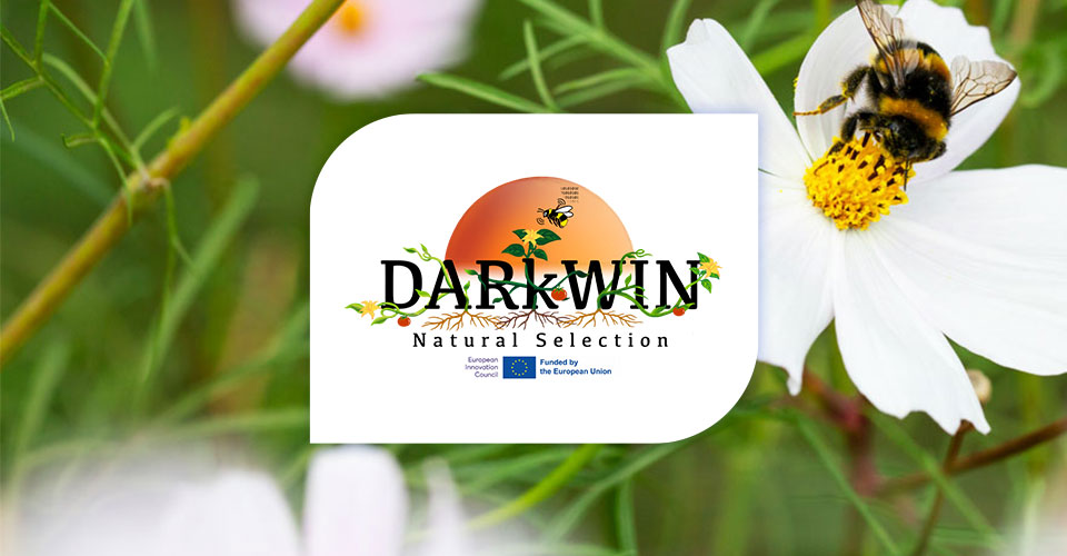 Novagric - Soluciones y servicios especializados en riego, invernaderos y tecnología agrícola