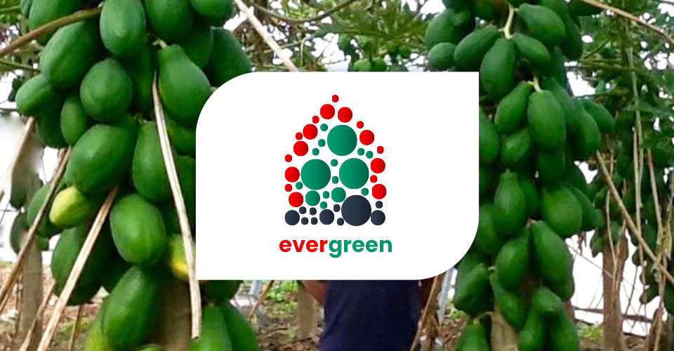 Novagric - Soluciones y servicios especializados en riego, invernaderos y tecnología agrícola