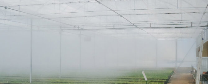 Novagric desarrolló un proyecto de invernadero semillero tecnológico en Marruecos para la producción profesional de frutos rojos.