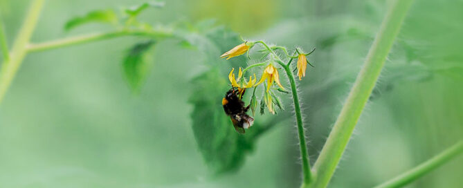 Novagric - Soluciones y servicios especializados en riego, invernaderos y tecnología agrícola