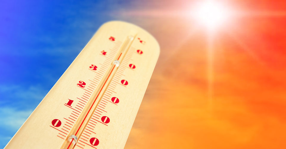 Novagric - Soluciones y servicios especializados en riego, invernaderos y tecnología agrícola