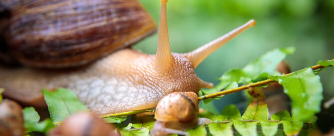 Novagric - Soluciones y servicios especializados en riego, invernaderos y tecnología agrícola