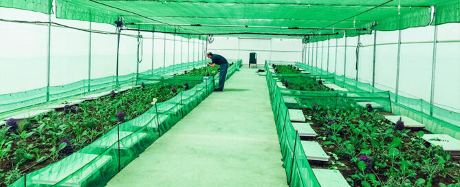 Novagric - Soluciones y servicios especializados en riego, invernaderos y tecnología agrícola