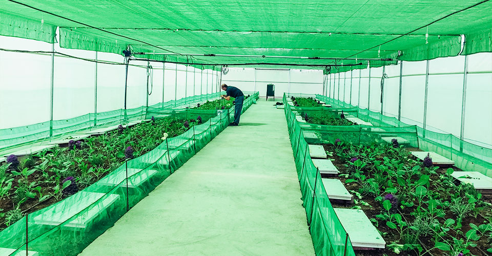 Novagric - Soluciones y servicios especializados en riego, invernaderos y tecnología agrícola