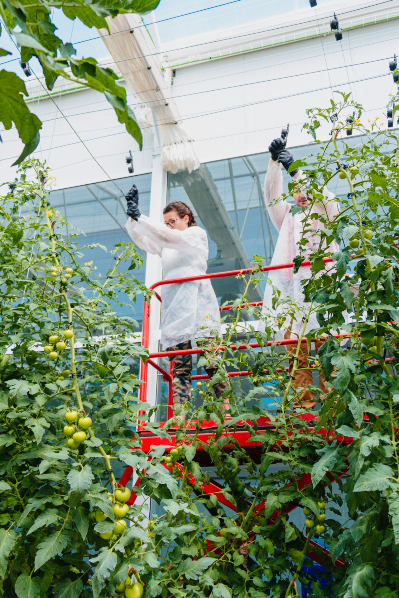 carro-cultivo-novagric-2 Mesas de cultivo